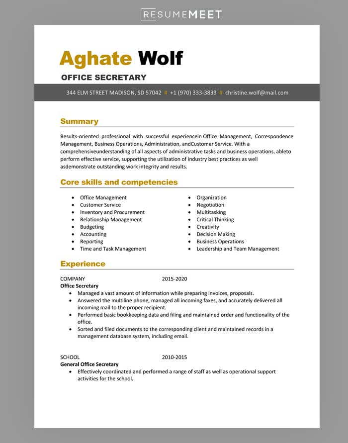 resume template Word docx
