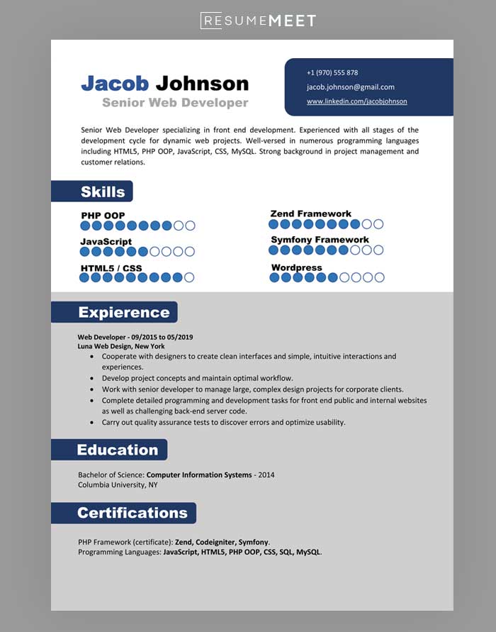 resume template Word docx